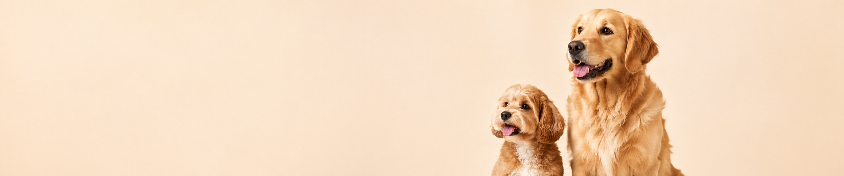 All Dog Treats