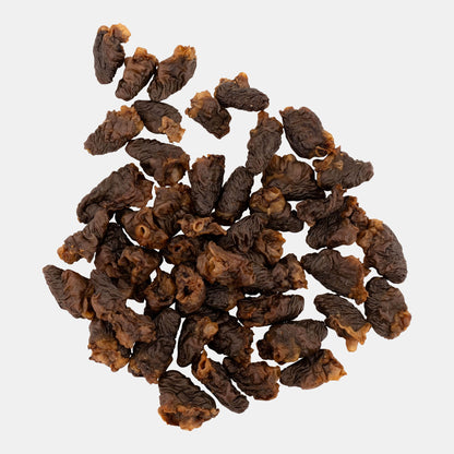 Dried brown mushrooms on a white background