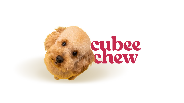 Small dog toy with 'cubee chew' branding on a white background
