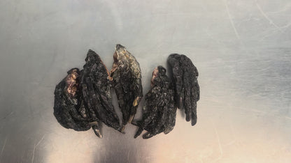 Air-Dried Middy Crocodile Feet