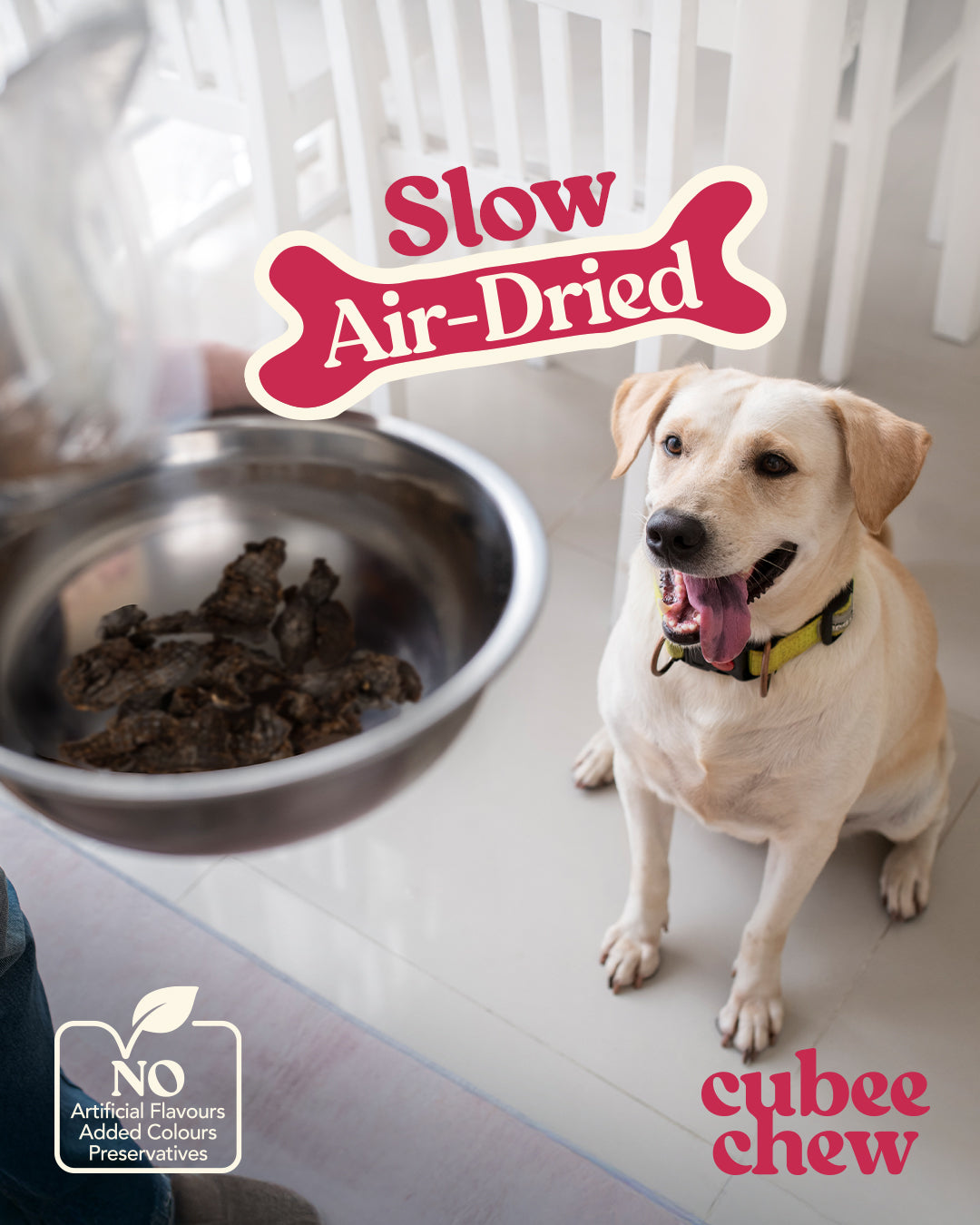 Dog sitting next to a bowl of Cubee Chew treats with branding text.